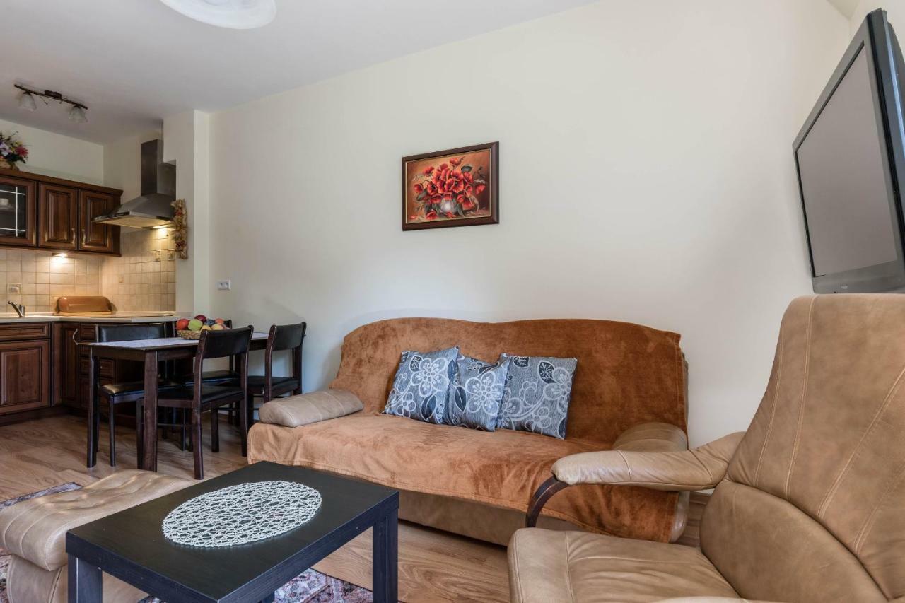 Apartamenty Przy Potoku زاكوباني المظهر الخارجي الصورة